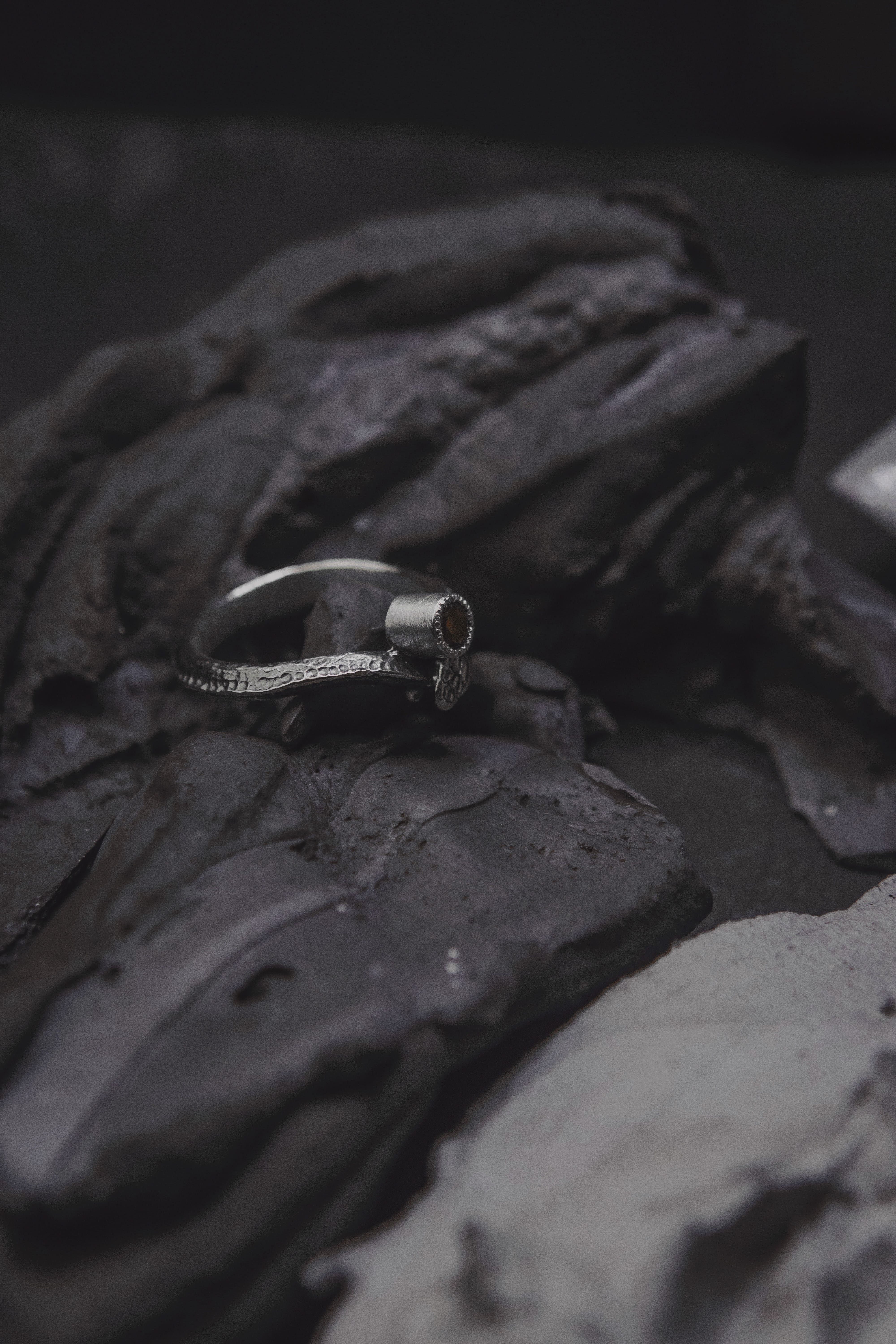 Ouroboros Ring with Stone