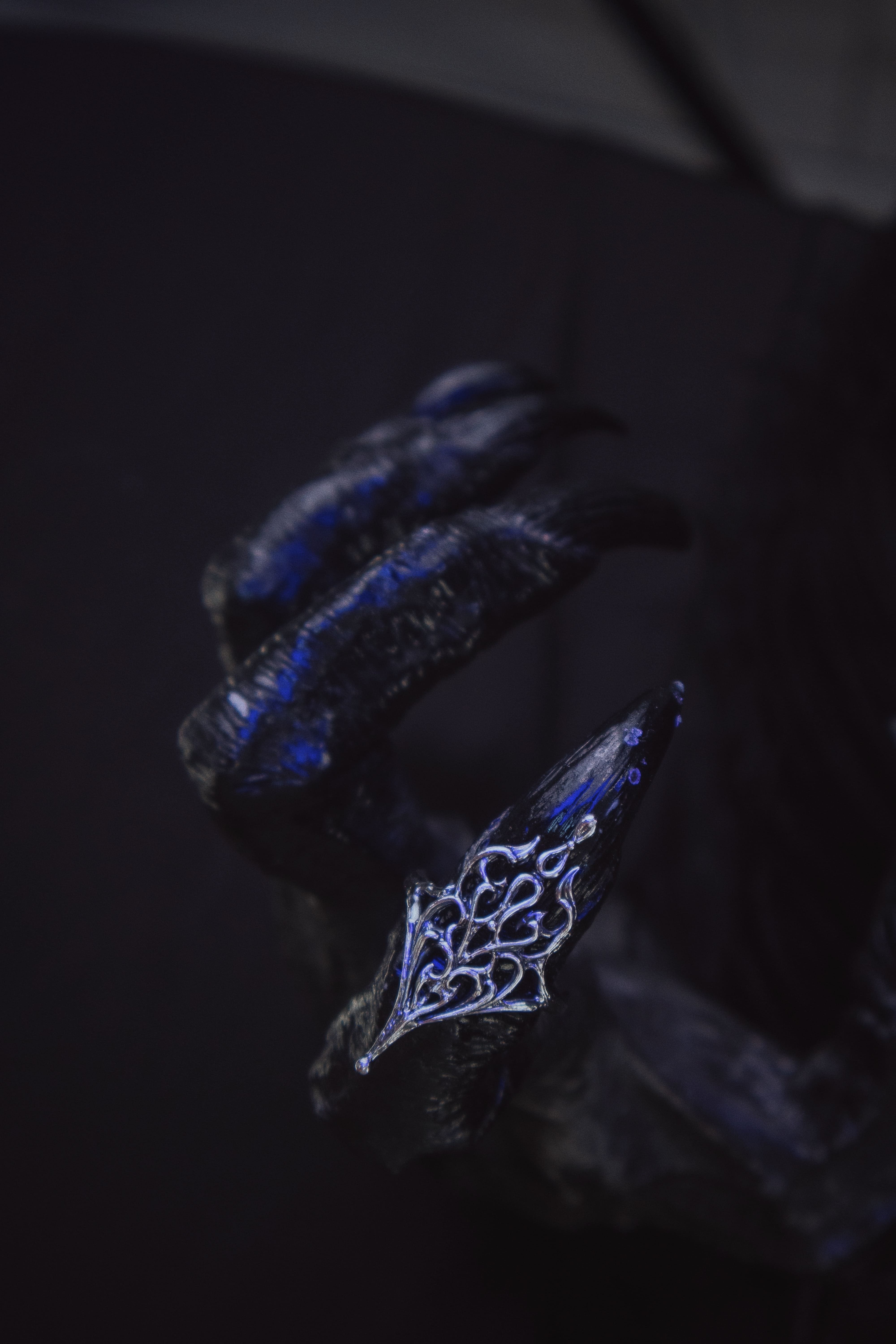 Ukrainian Trident ring