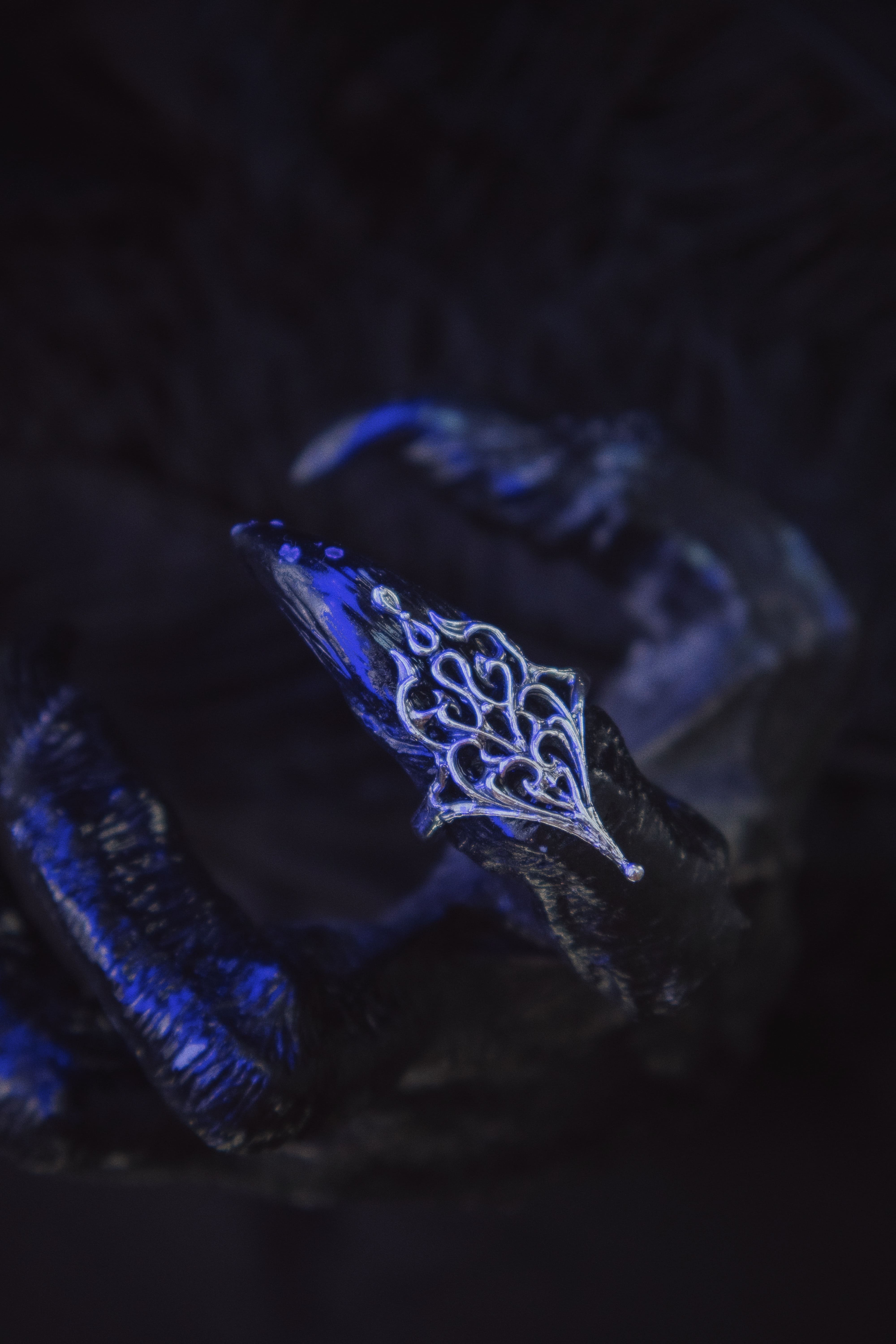 Ukrainian Trident ring