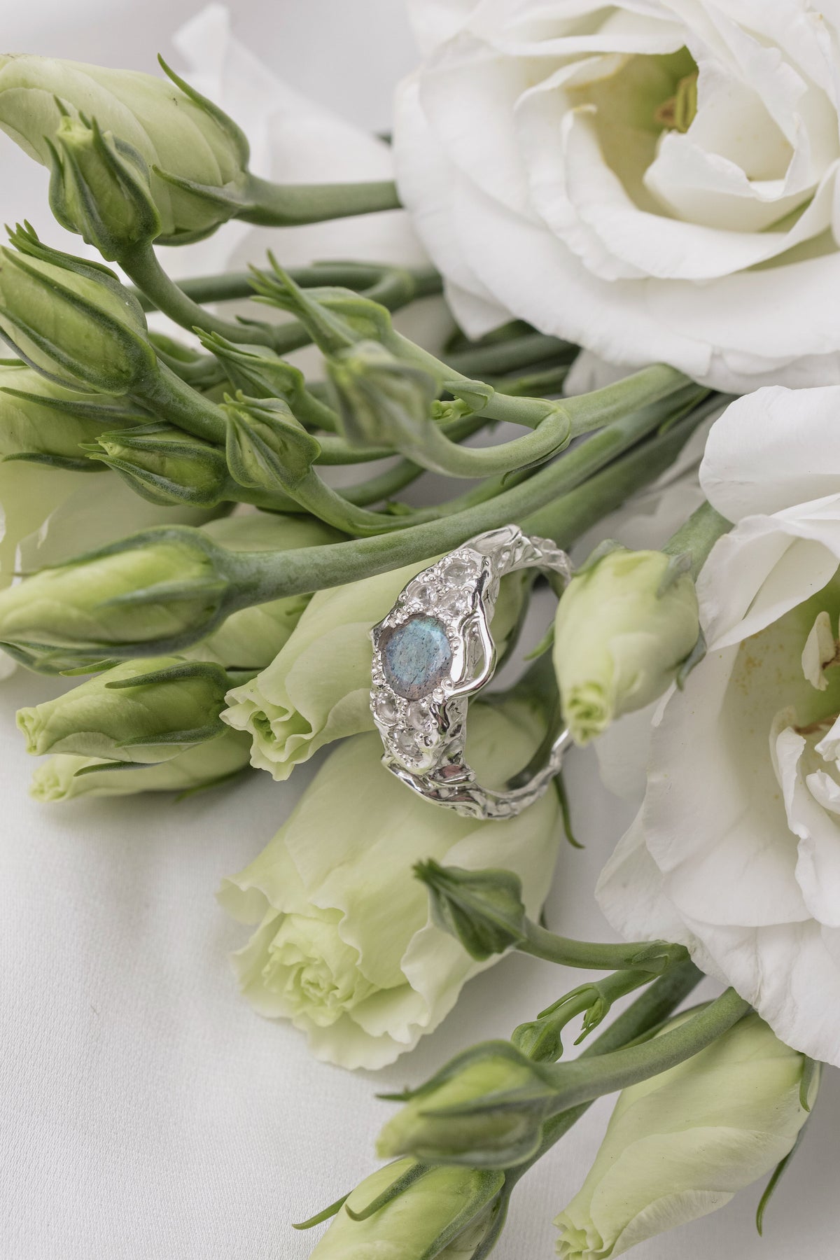 Molecular ring with Labradorite