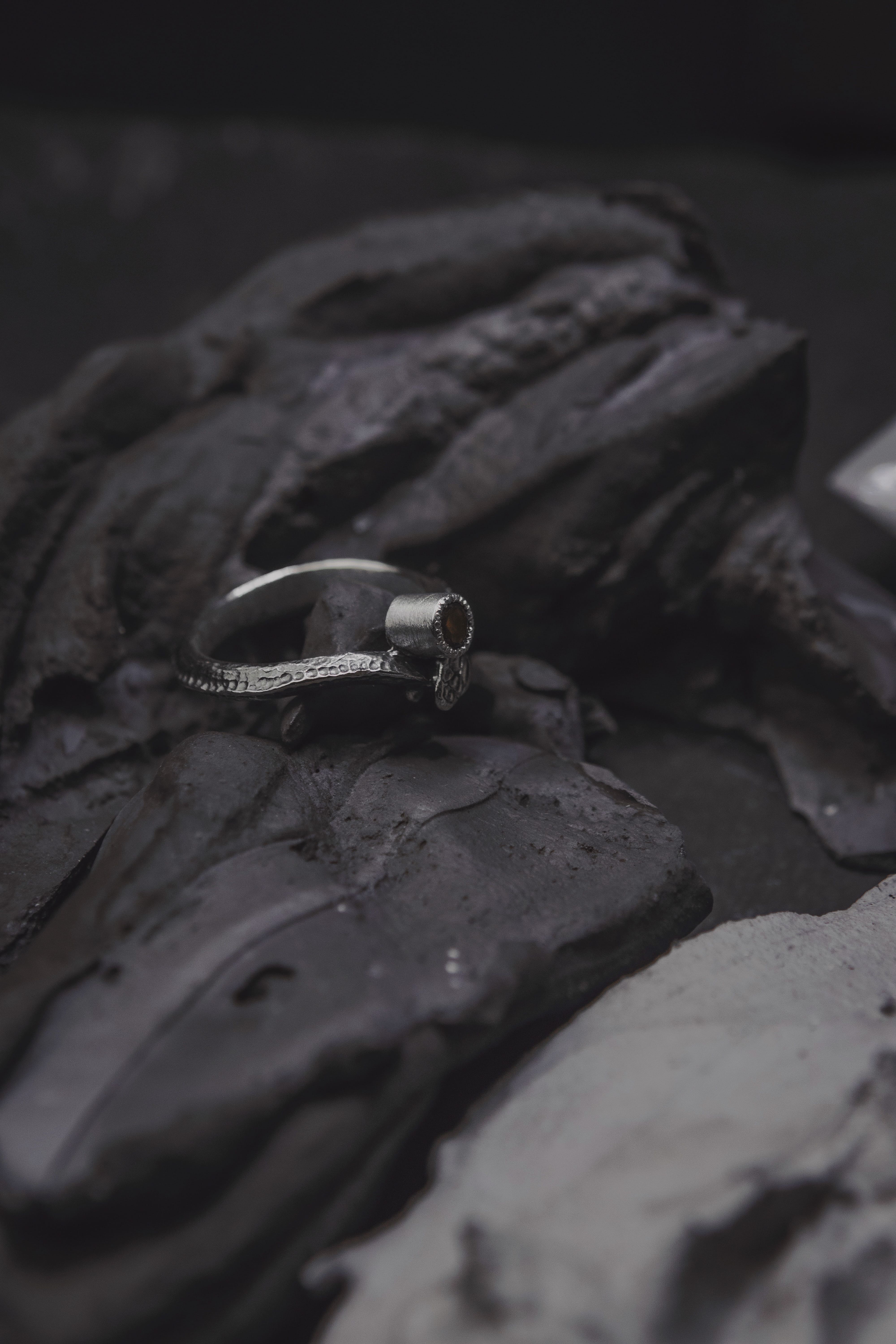 Ouroboros Ring with 4 mm Stone