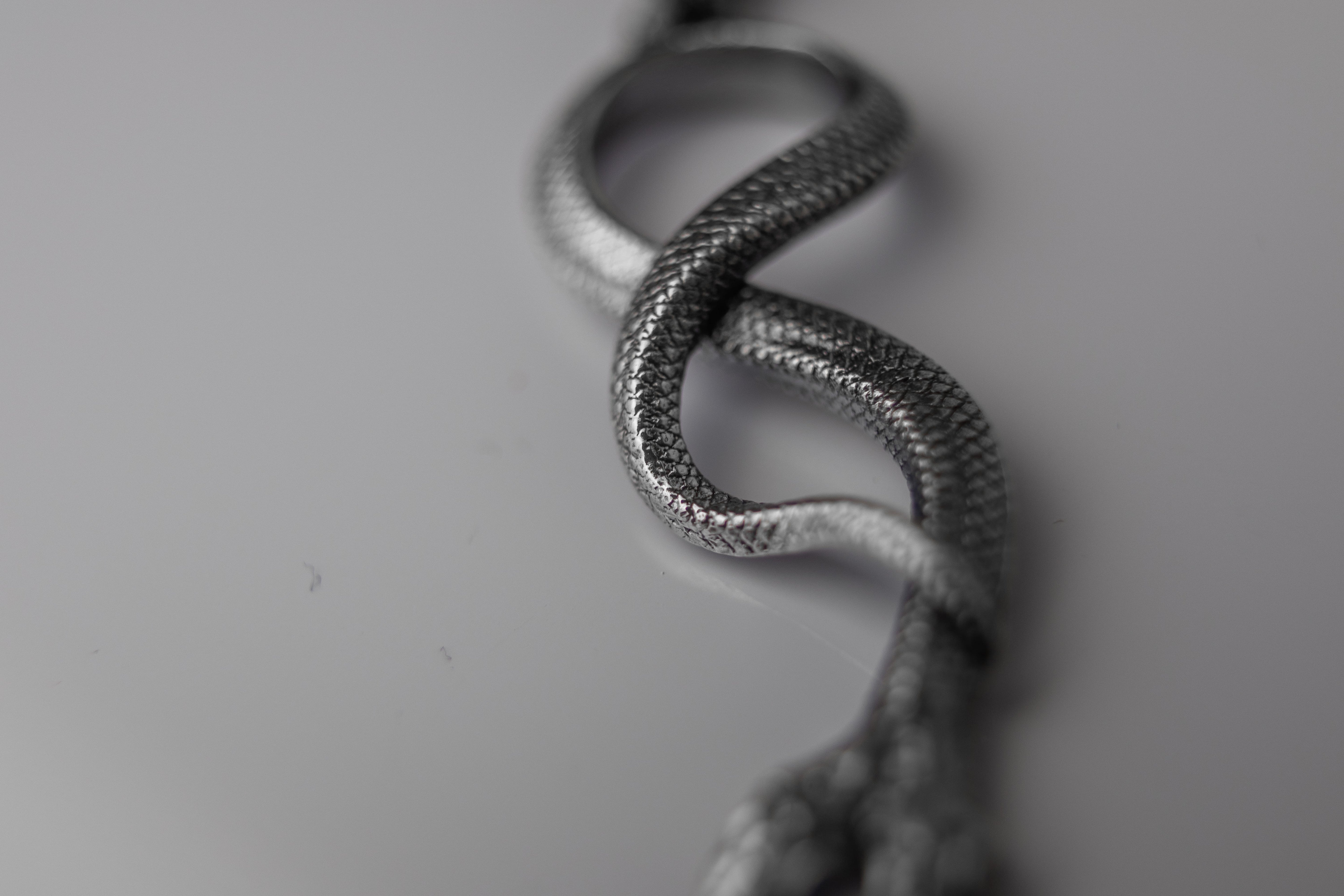 Dualis Snake Pendant